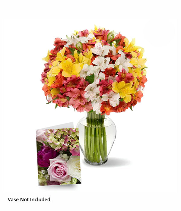 100 fleurs d'alstroemeria I