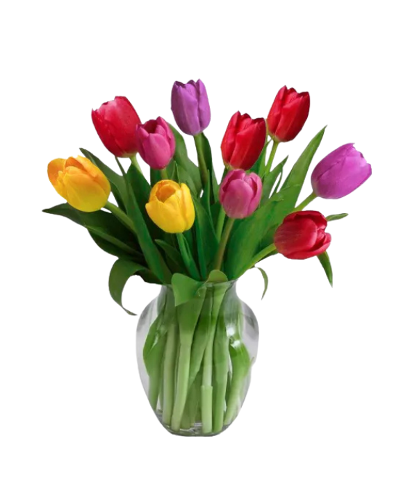 10 tulipes printanières dans un vase