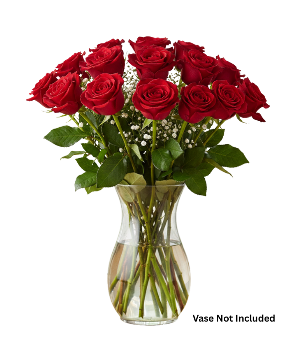 Une douzaine de roses rouges à longues tiges