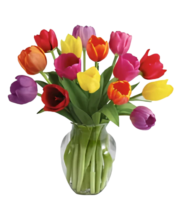 15 tulipes printanières dans un vase