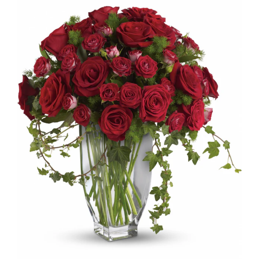 Rose romane
