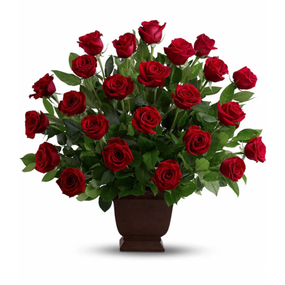 Hommage à la rose