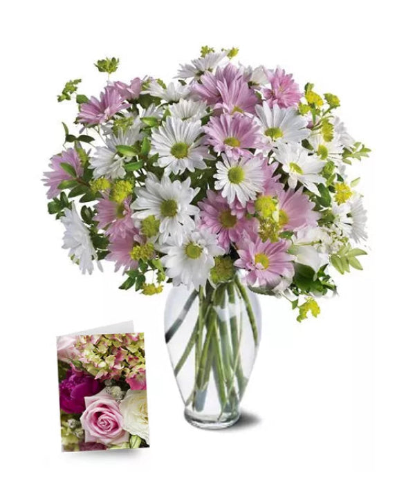 Collection Douces Fleurs I