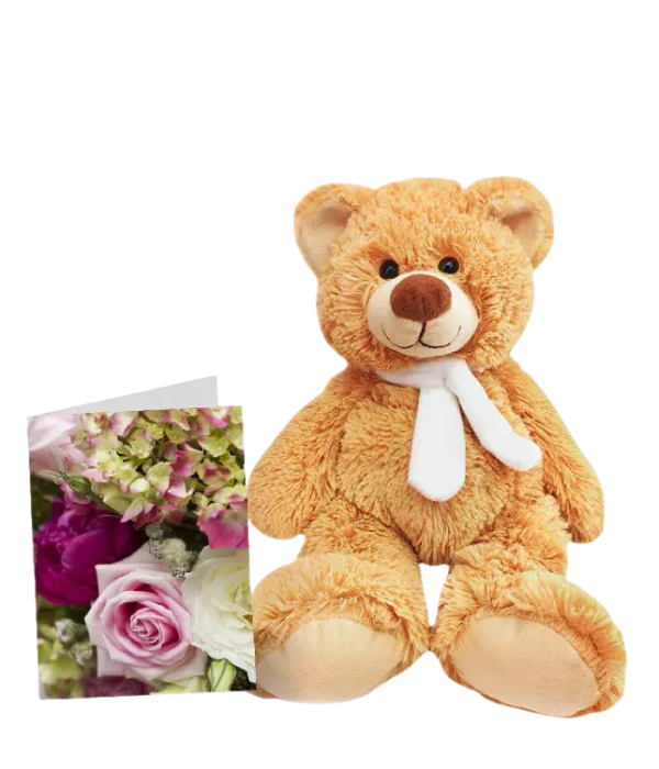 Peluche & Carte Spéciale