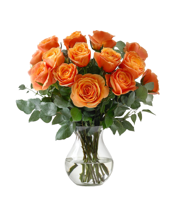 12 roses oranges à longues tiges