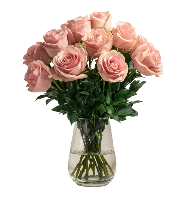 Espoir rose