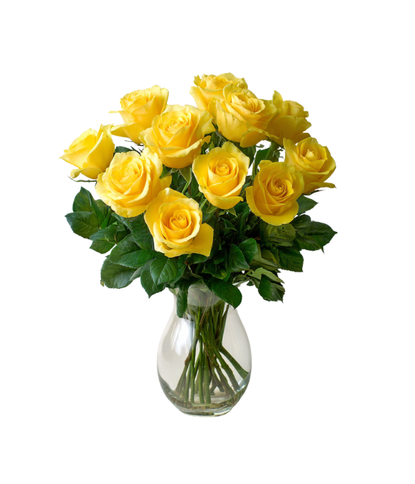 Yellow roses in a vase - yellow12