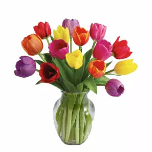 15 tulipes de printemps