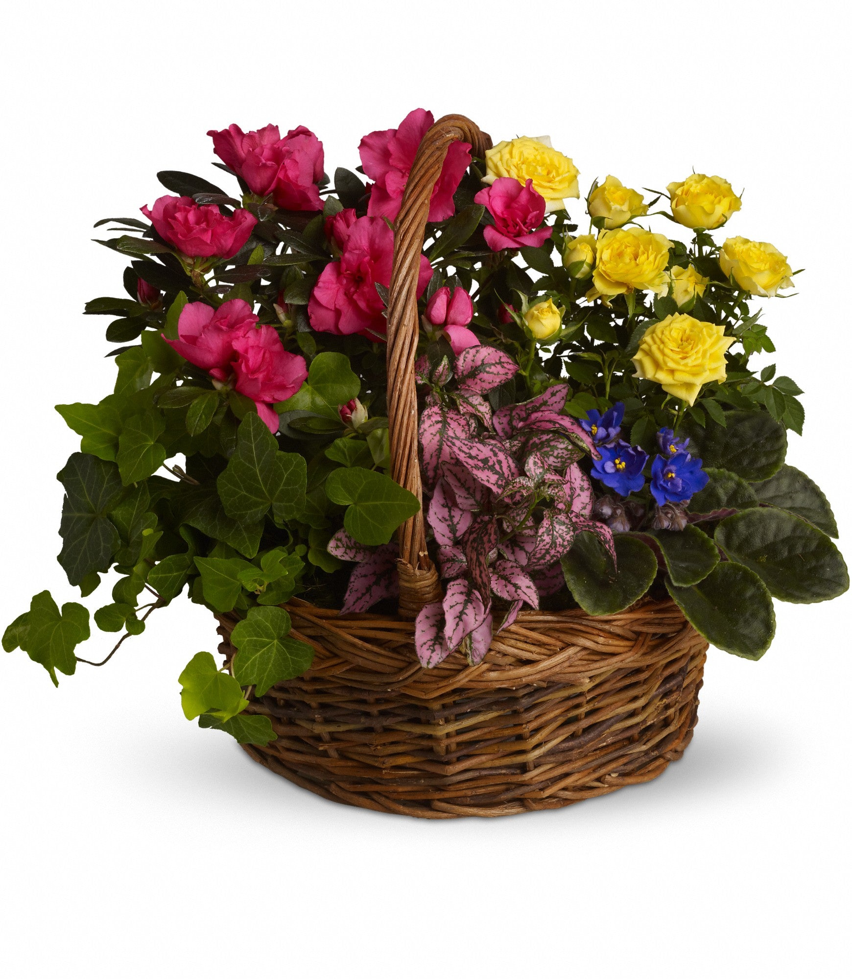 フラワー・ガーデニング   flower Basket Musical Pick Flower & Planter Baskets in Dieppe | Champlain Floral