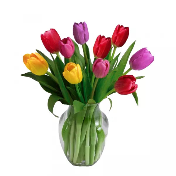 Tulipes de printemps